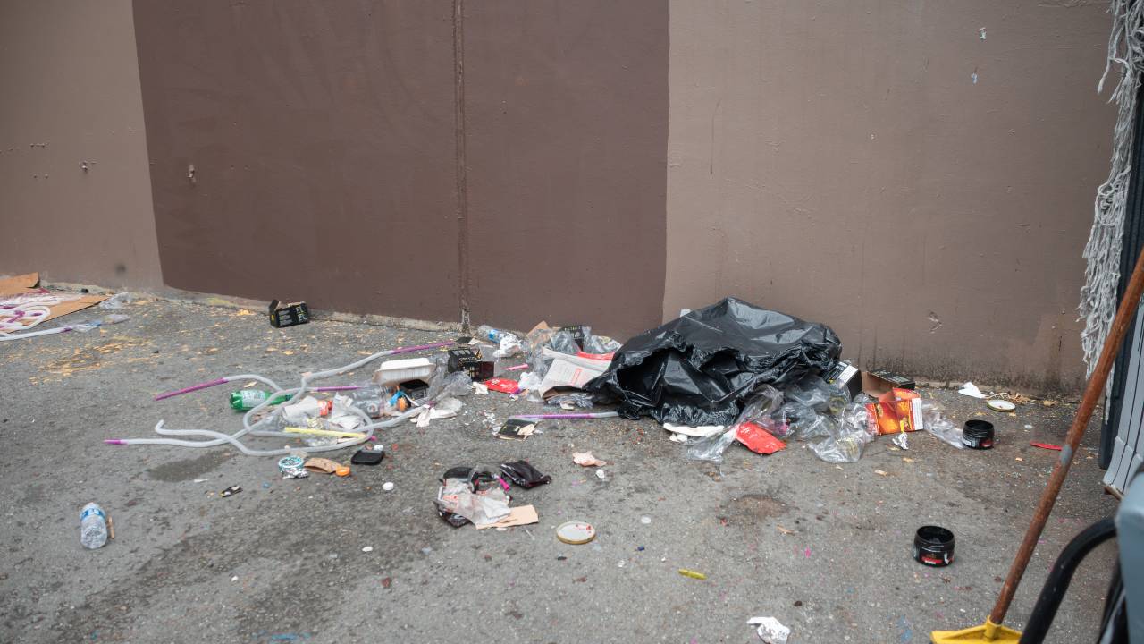 Exterior cleanup results — before