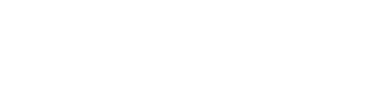 Seattle Surface Cleaners logo