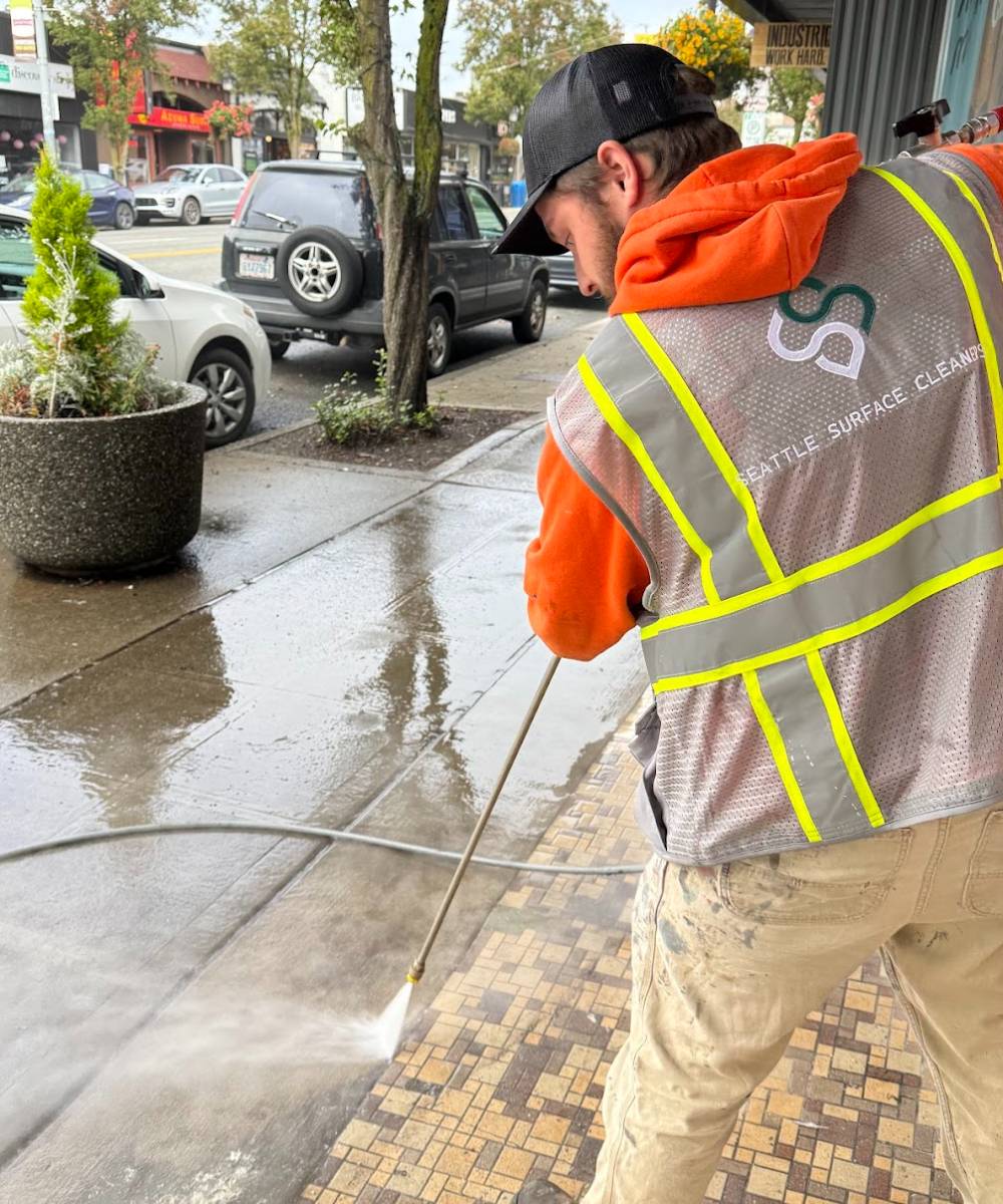seattle surface cleaners (1)