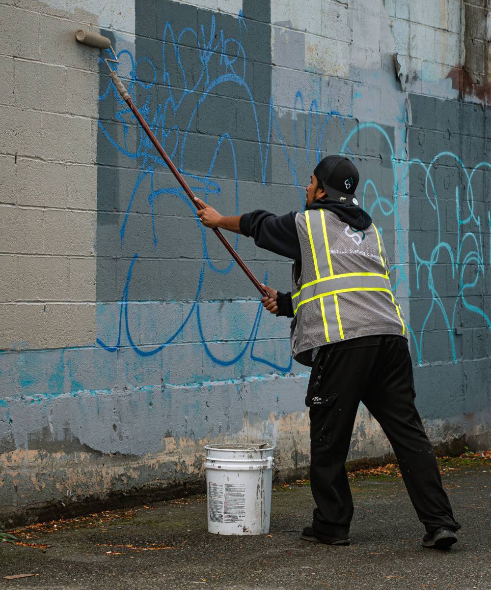 seattle surface cleaners